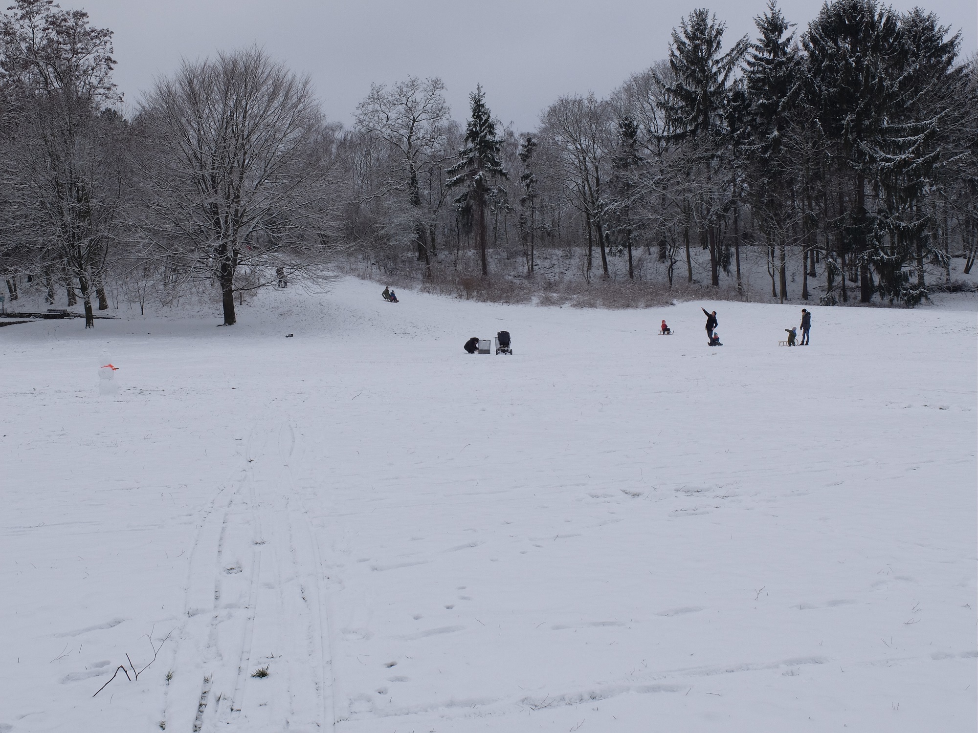 Winter 1 - verkleinert - 18-01-2016